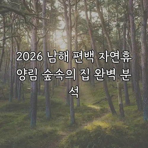 2026 남해 편백 자연휴양림 숲속의 집 완벽 분석