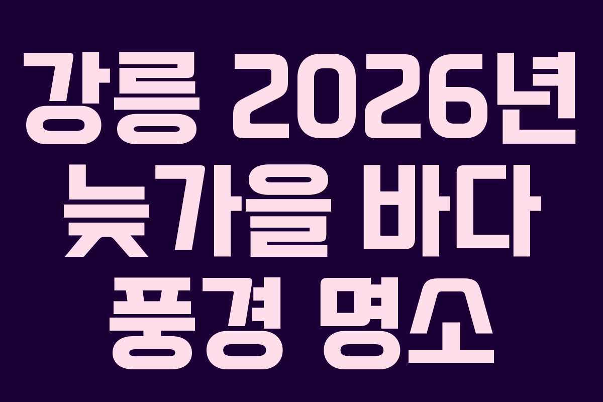 강릉-2026년-늦가을-바다-풍경-명소