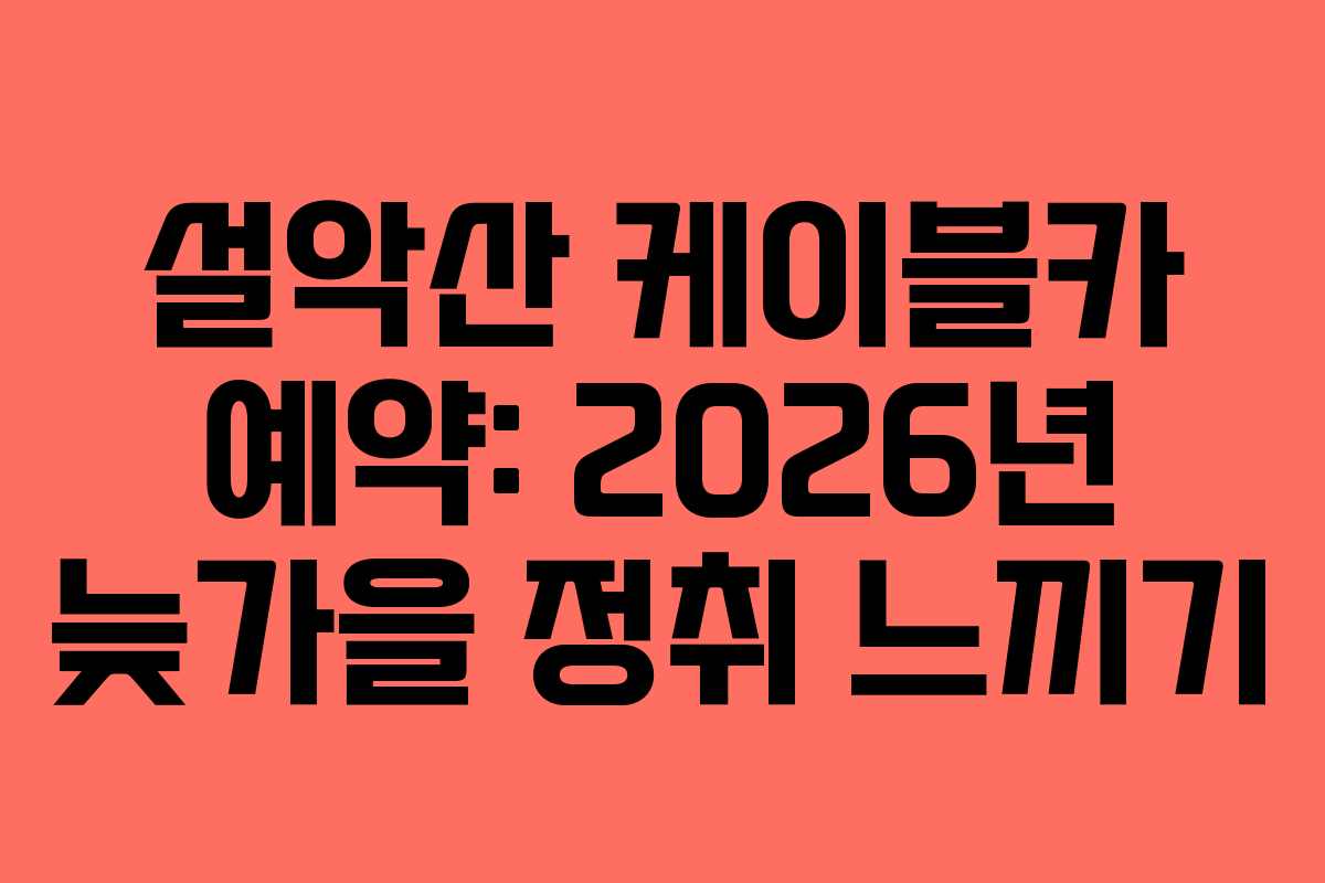 설악산-케이블카-예약-2026년-늦가을-정취-느끼기