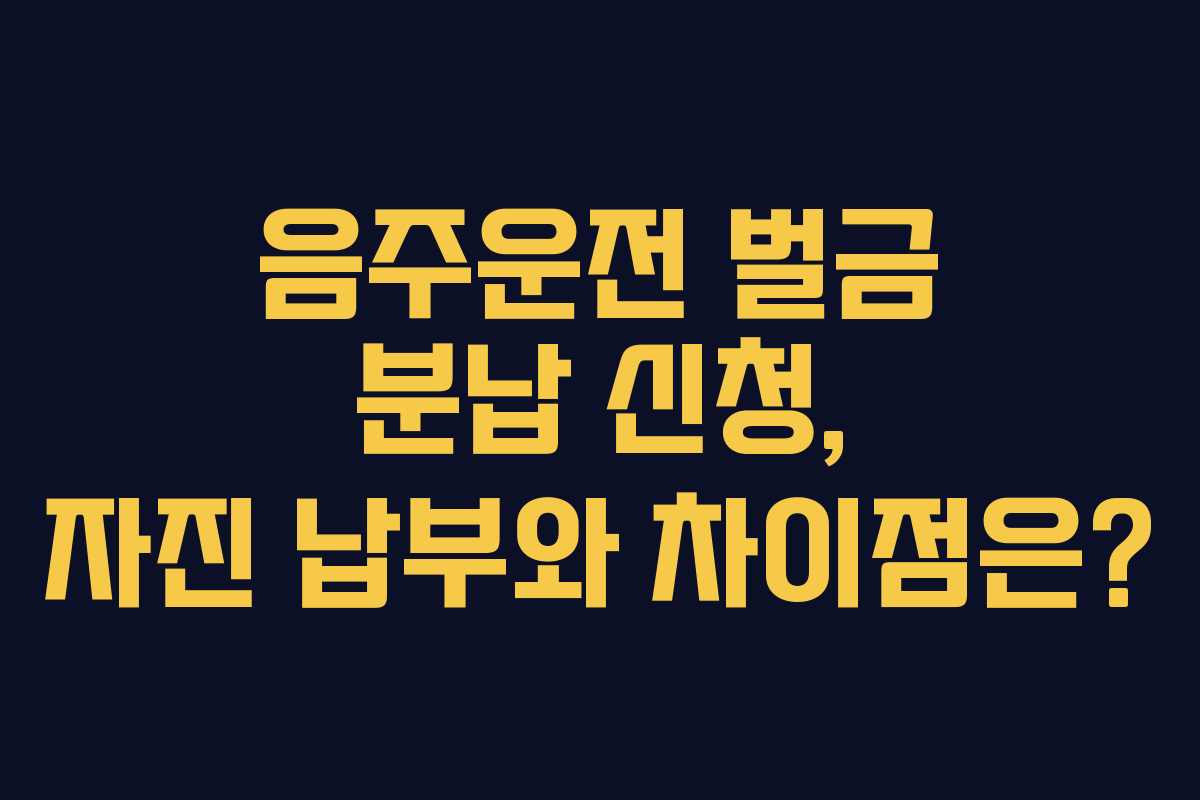 음주운전-벌금-분납-신청,-자진-납부와-차이점은