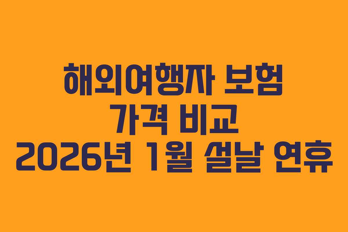 해외여행자-보험-가격-비교-2026년-1월-설날-연휴
