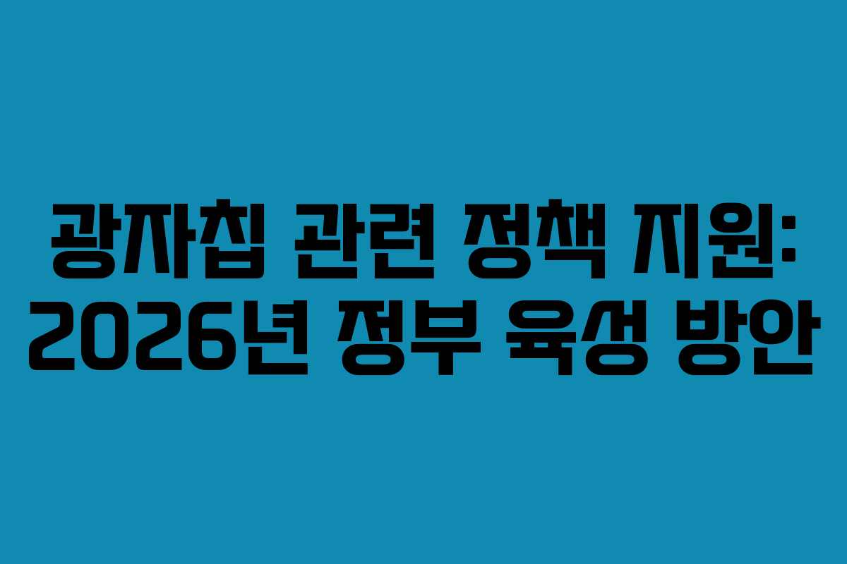 광자칩-관련-정책-지원-2026년-정부-육성-방안