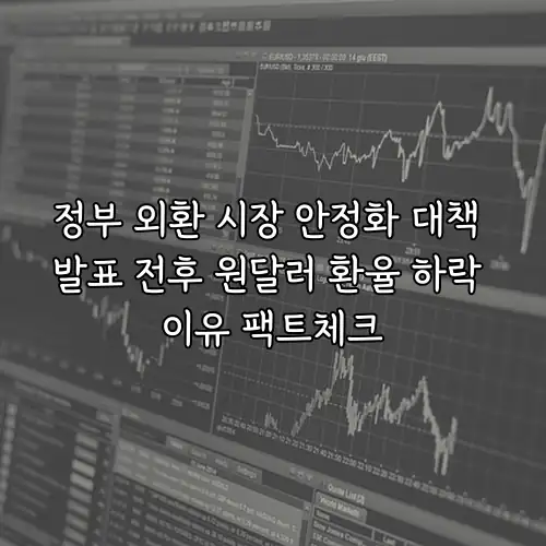 정부 외환 시장 안정화 대책 발표 전후 원달러 환율 하락 이유 팩트체크