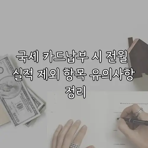 국세 카드납부 시 전월 실적 제외 항목 유의사항 정리