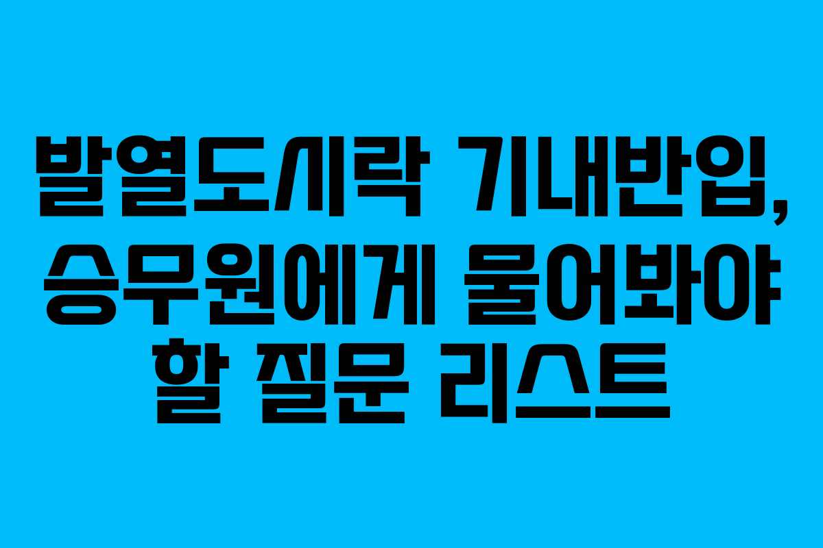 발열도시락-기내반입,-승무원에게-물어봐야-할-질문-리스트