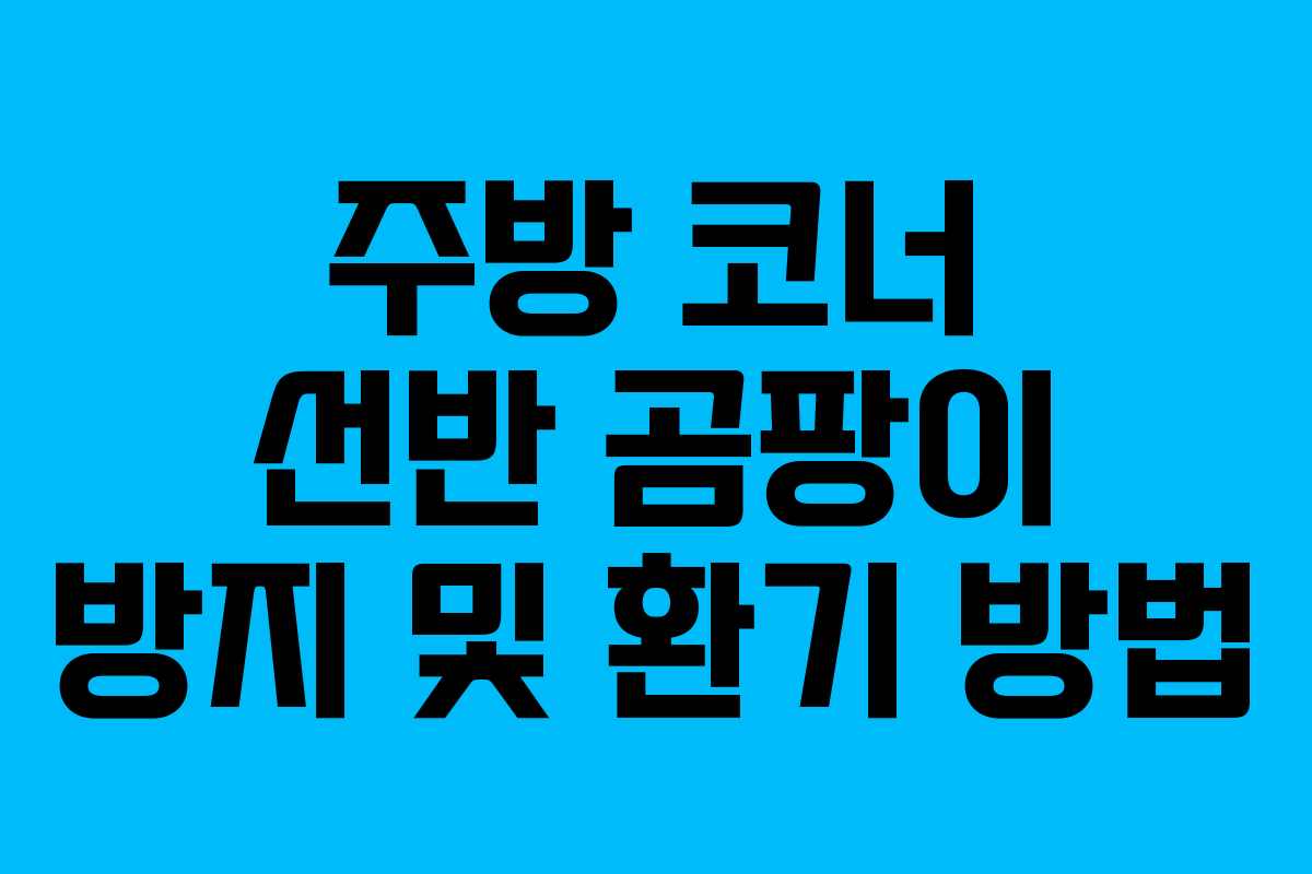 주방-코너-선반-곰팡이-방지-및-환기-방법
