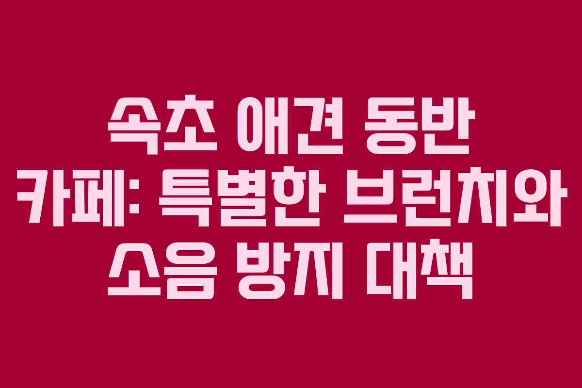 속초-애견-동반-카페-특별한-브런치와-소음-방지-대책